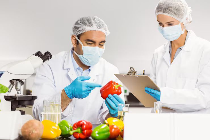 Introduction to Food Cloud Systems: Basics, Benefits, and How They Work