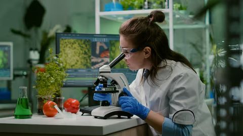 An Overview of Protein Purification: Information, Facts, and Modern Techniques